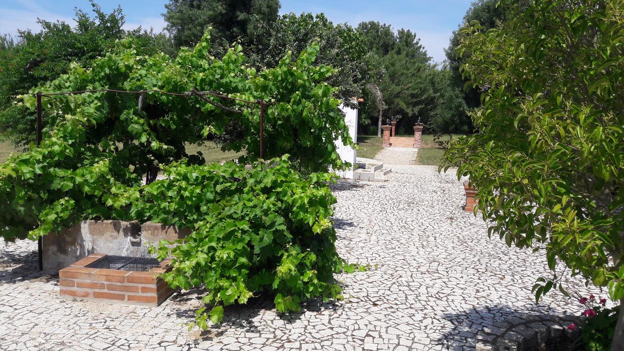 Quinta da Abrunheira Vimieiro (Evora) Exterior foto
